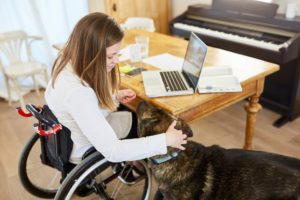 Paraplégie
