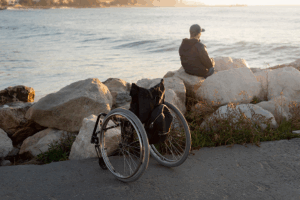 Pension invalidité et aah